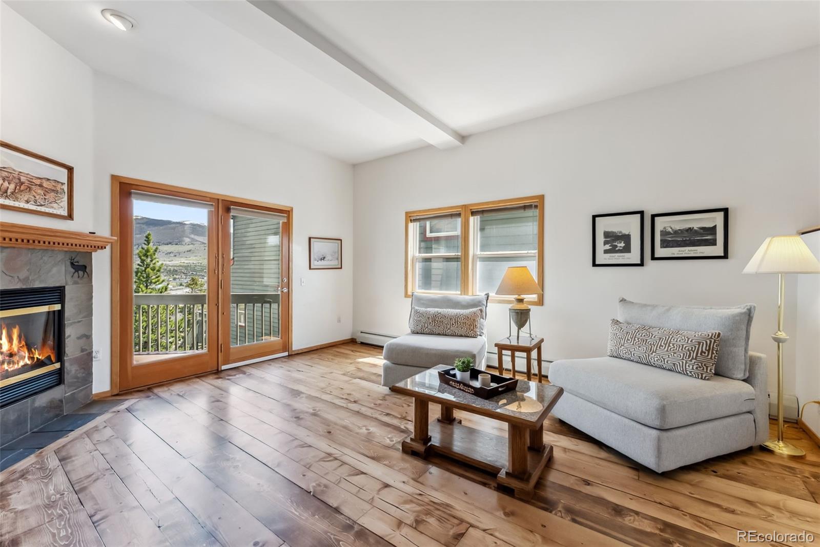 MLS Image #3 for 162  fawn court,silverthorne, Colorado
