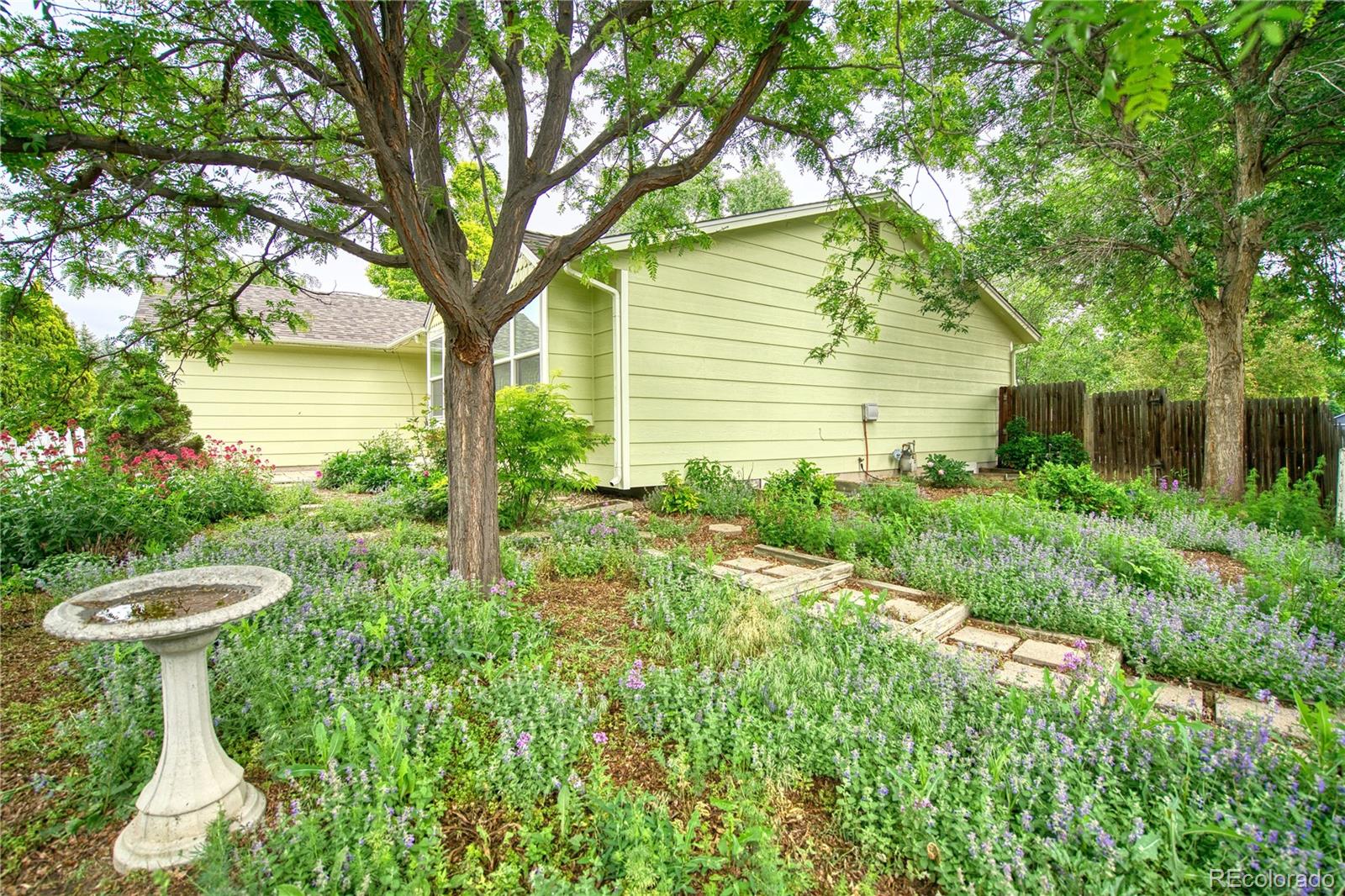 MLS Image #16 for 3830  arctic fox drive,fort collins, Colorado