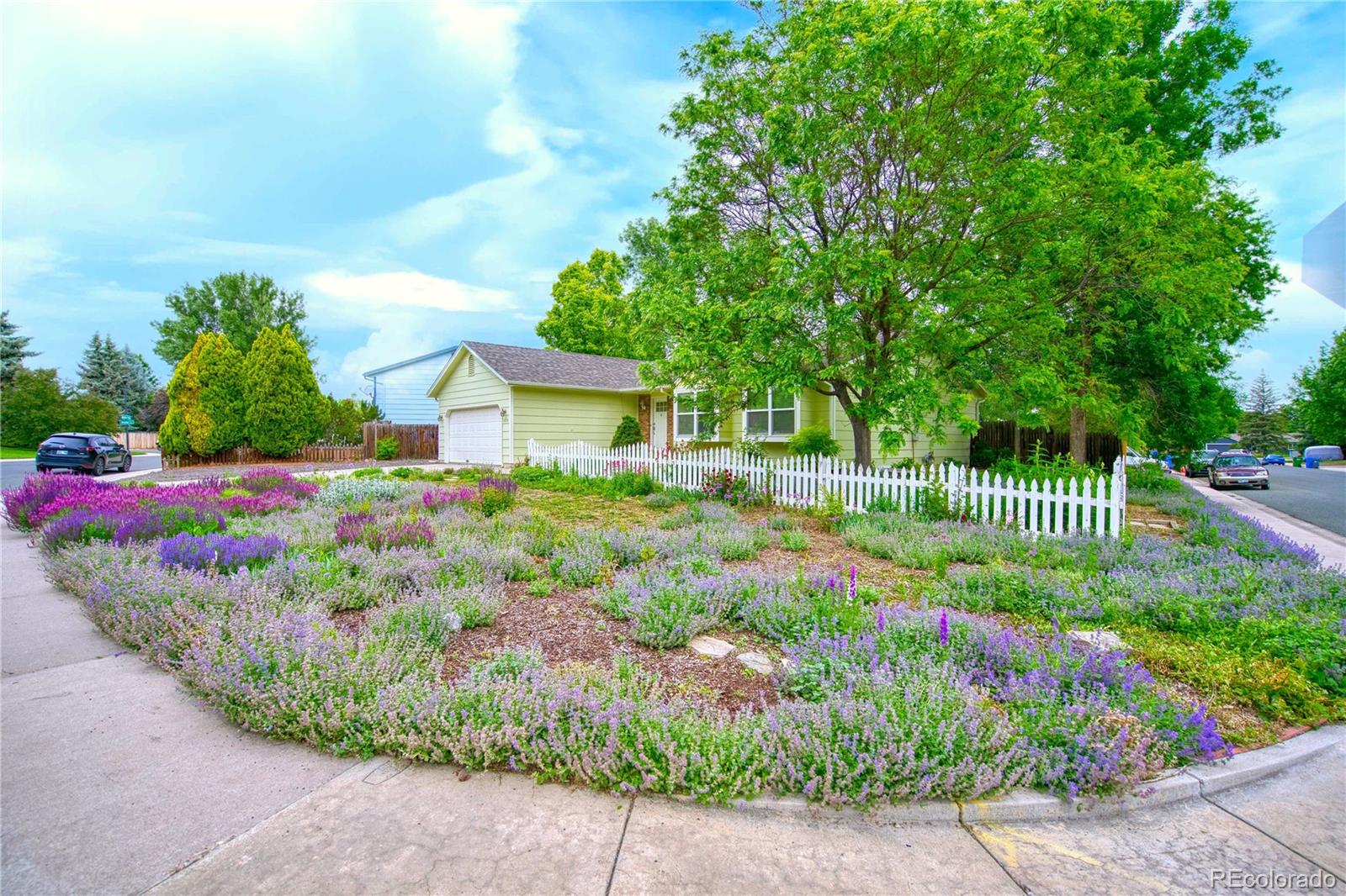 MLS Image #19 for 3830  arctic fox drive,fort collins, Colorado