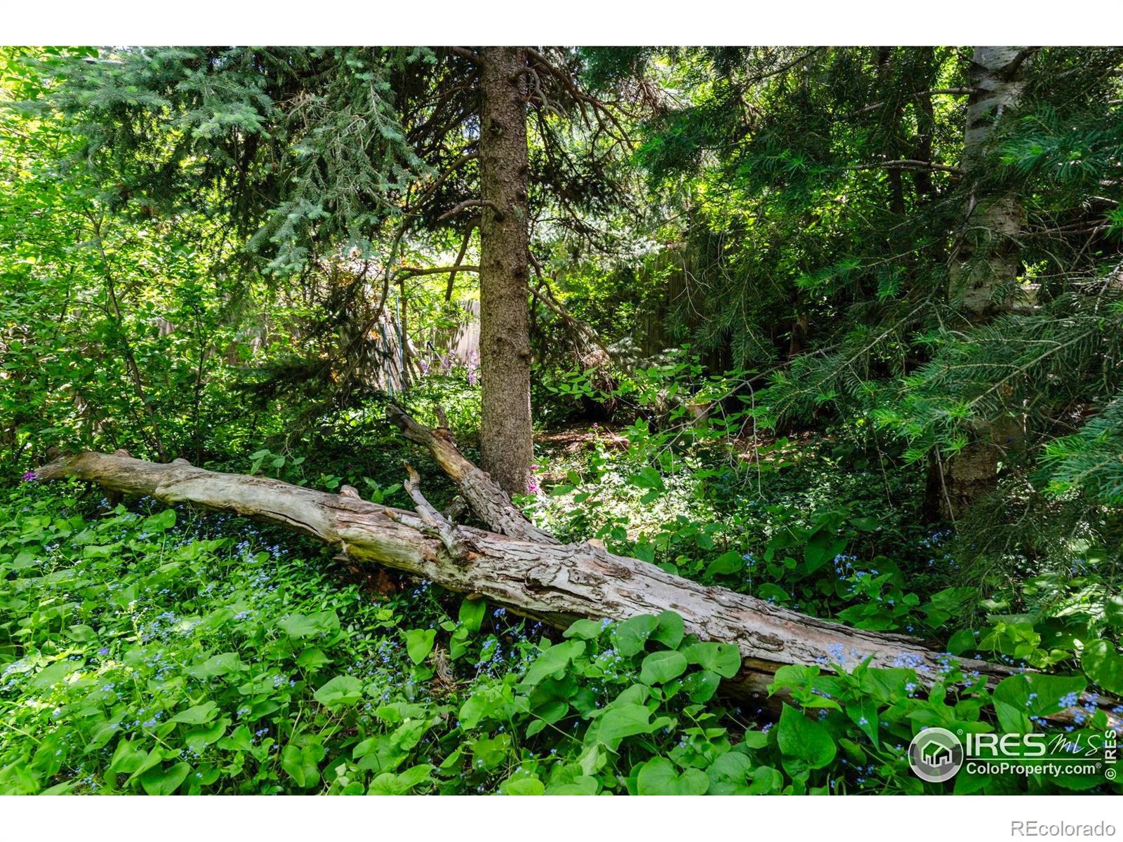 MLS Image #20 for 1380  ithaca drive,boulder, Colorado