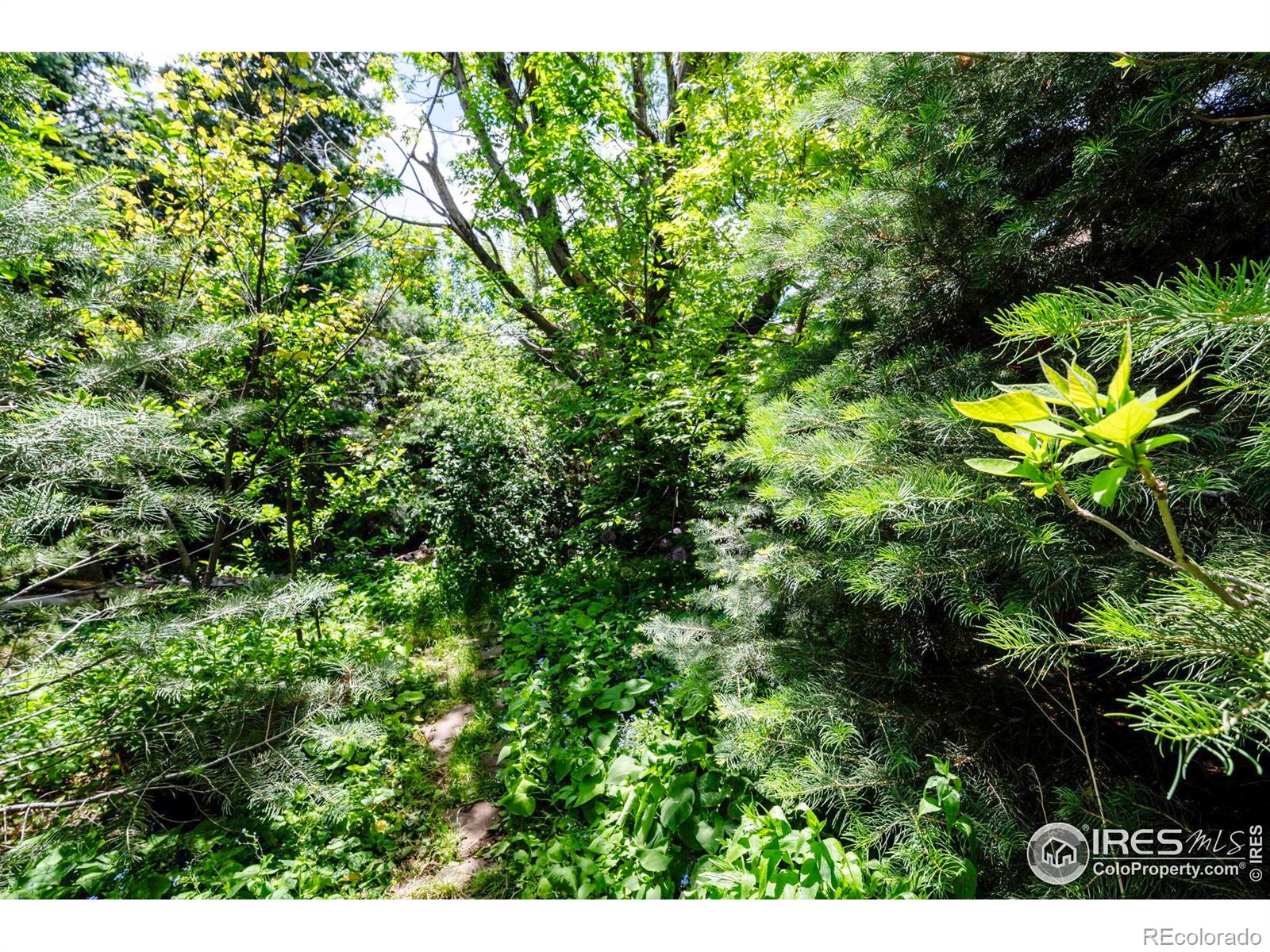 MLS Image #23 for 1380  ithaca drive,boulder, Colorado