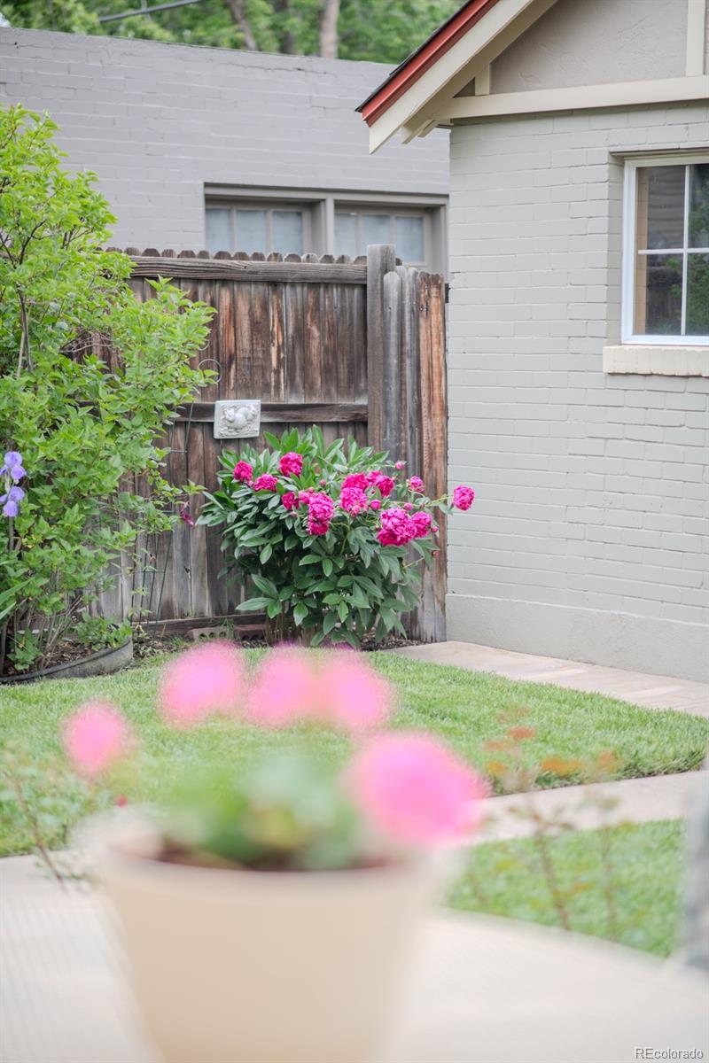 MLS Image #40 for 506 n marion street,denver, Colorado