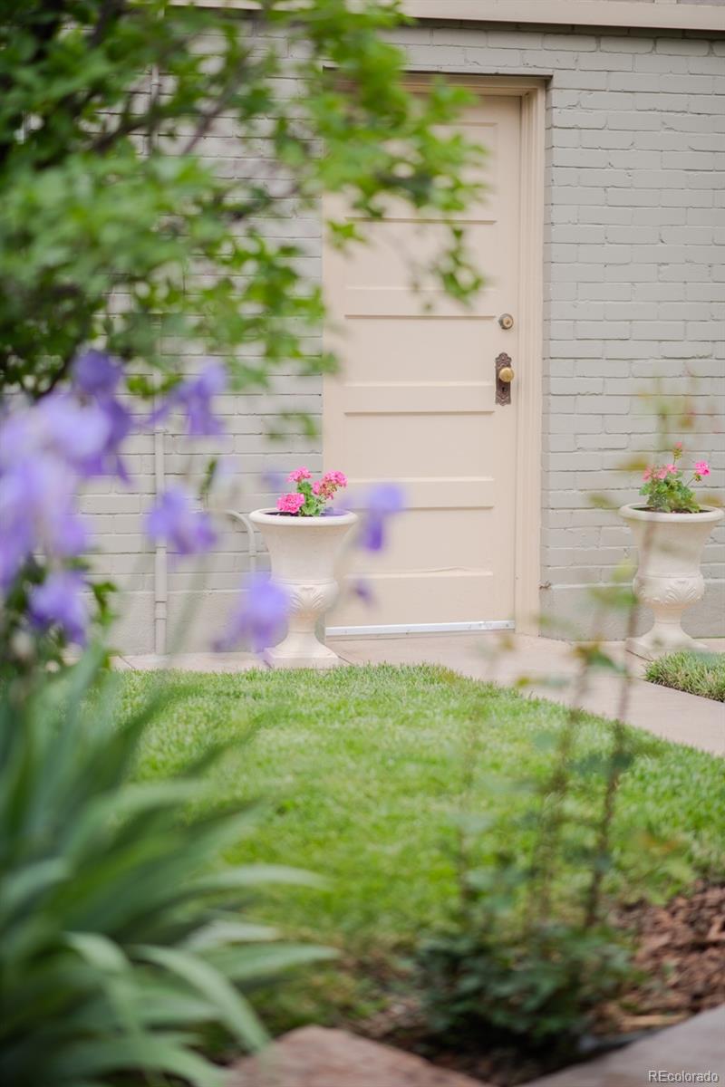 MLS Image #41 for 506 n marion street,denver, Colorado