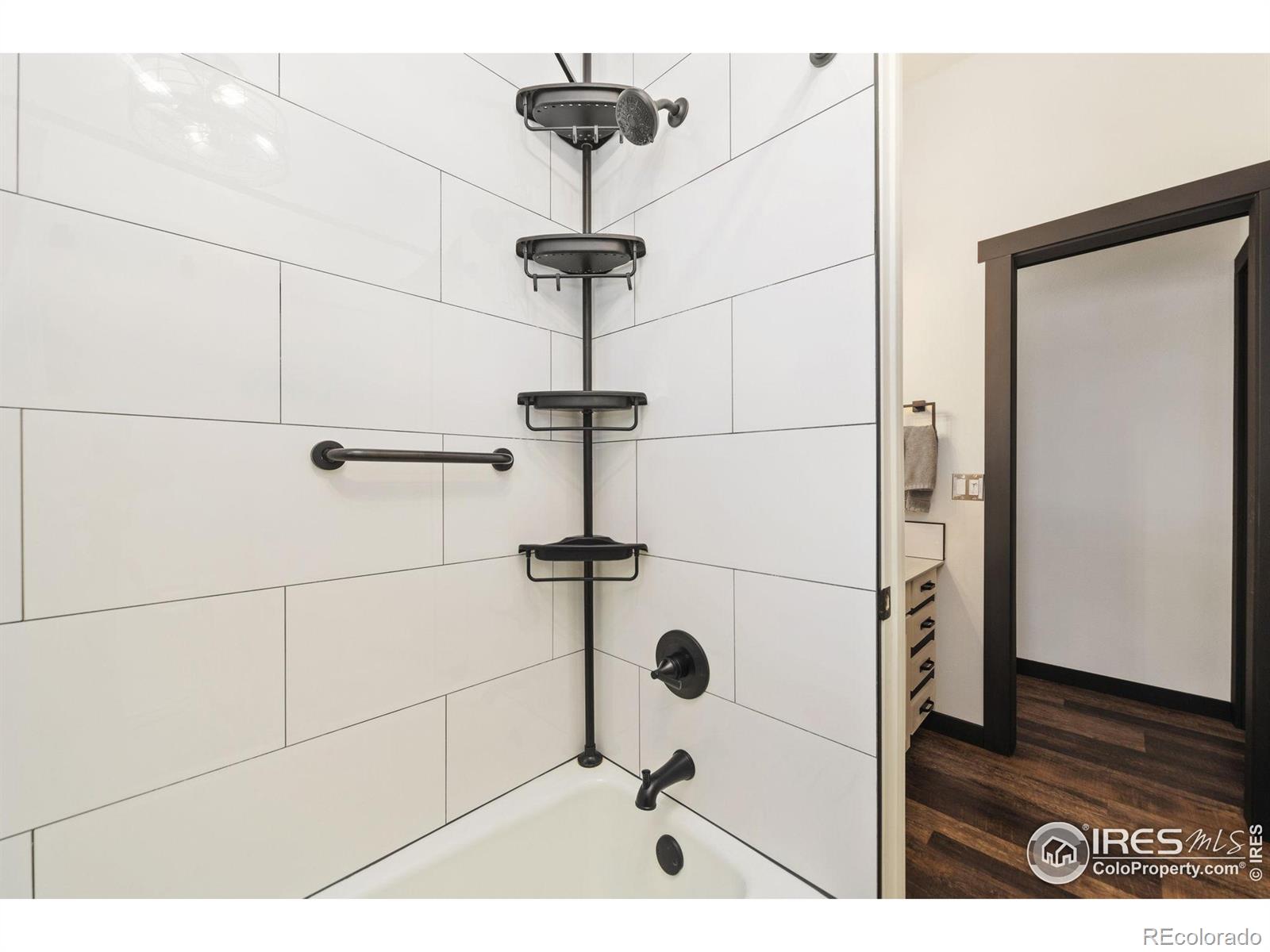 MLS Image #11 for 3024  anchor way,fort collins, Colorado