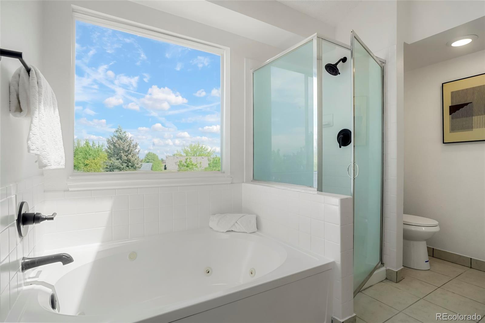 MLS Image #26 for 10703  jordan court,parker, Colorado