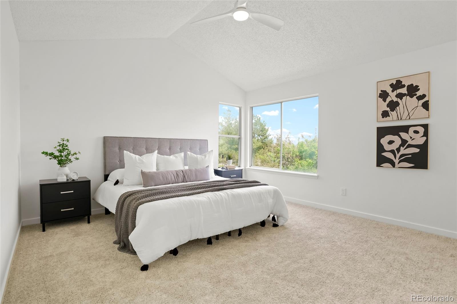 MLS Image #4 for 10703  jordan court,parker, Colorado