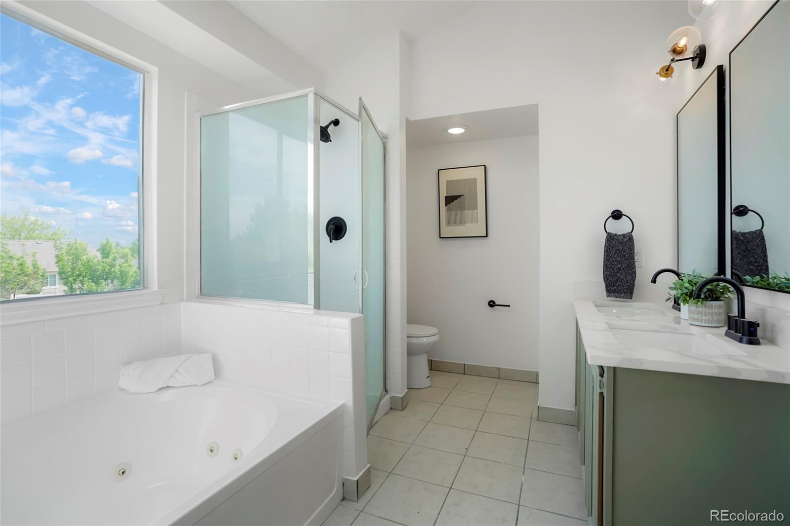 MLS Image #5 for 10703  jordan court,parker, Colorado