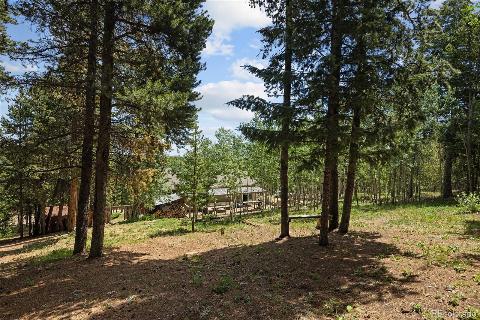 MLS Image #22 for 9123  gray lane,conifer, Colorado
