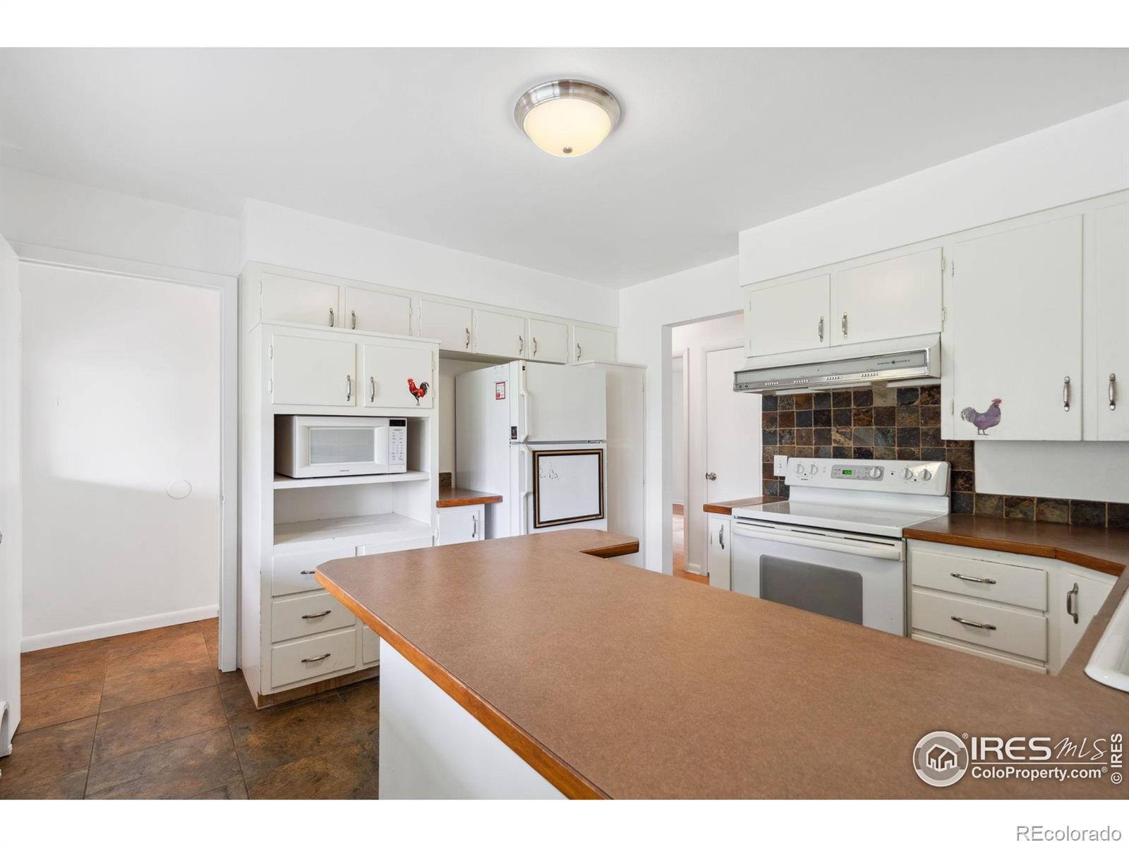 MLS Image #9 for 1200  emigh street,fort collins, Colorado