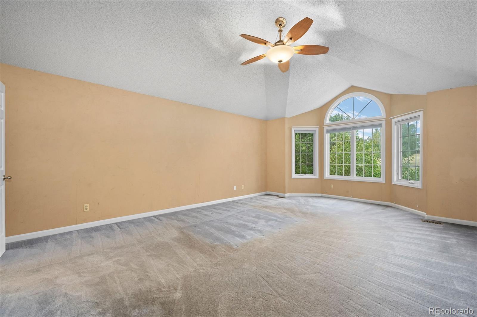 MLS Image #22 for 8823  maplewood drive,highlands ranch, Colorado