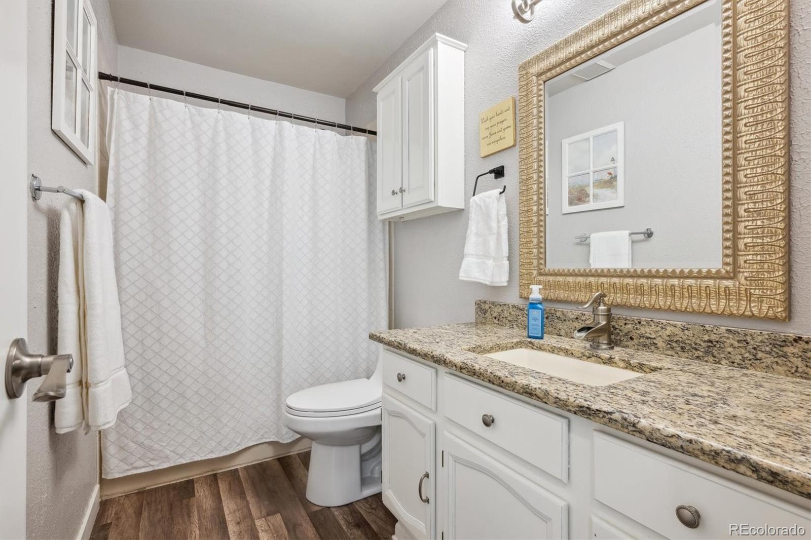 MLS Image #10 for 1762  red fox place,highlands ranch, Colorado