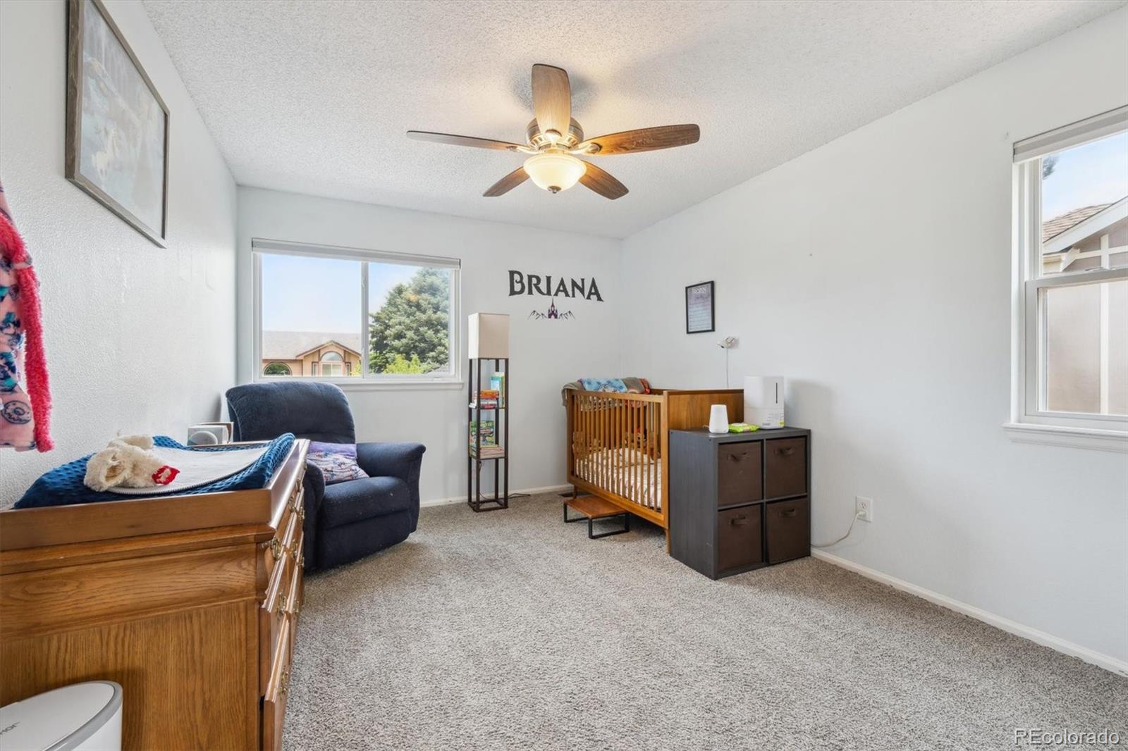 MLS Image #29 for 1762  red fox place,highlands ranch, Colorado