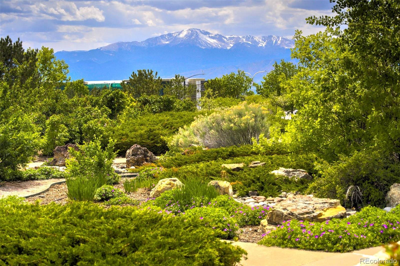 MLS Image #40 for 9555  lizard rock trail,colorado springs, Colorado