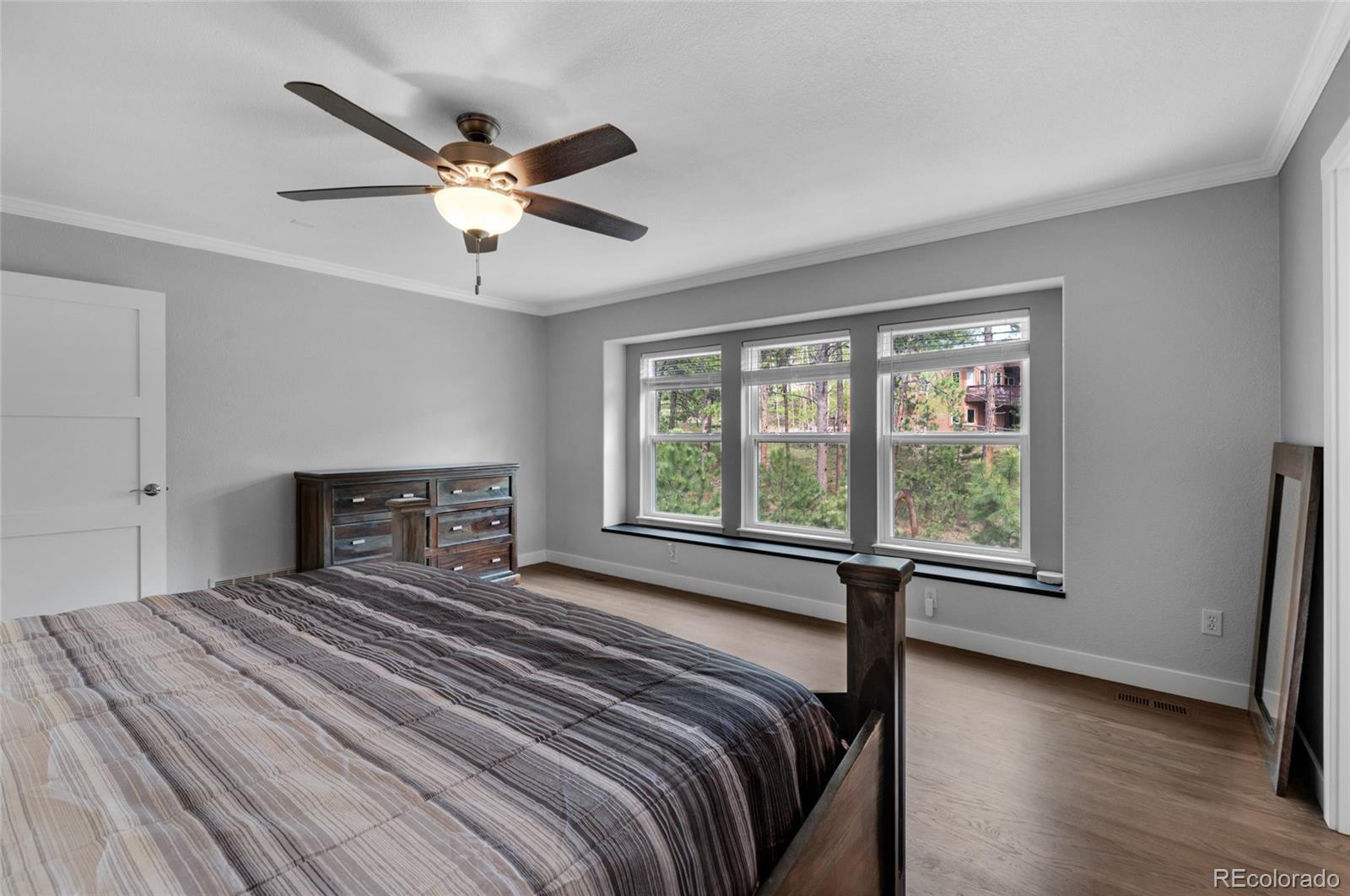 MLS Image #16 for 16079  red fox lane,colorado springs, Colorado