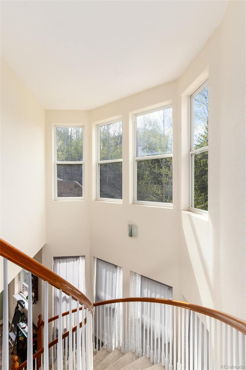 MLS Image #14 for 748  louis drive,central city, Colorado
