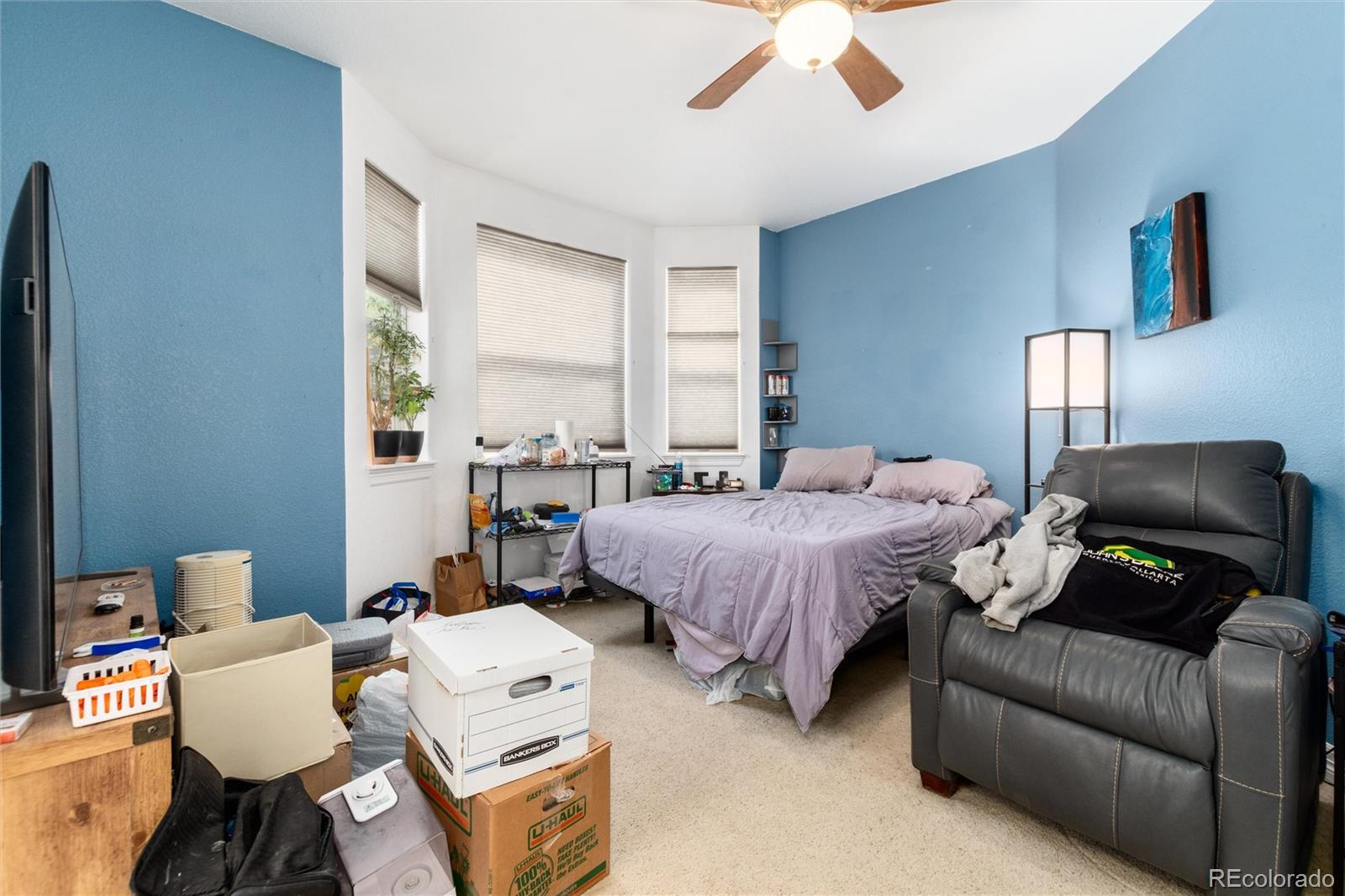 MLS Image #15 for 748  louis drive,central city, Colorado