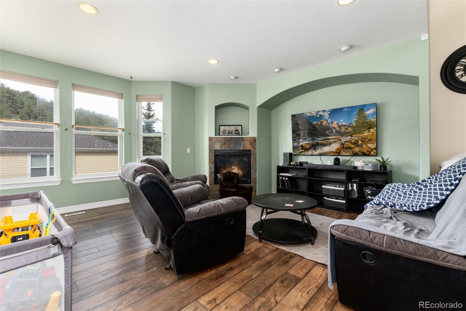 MLS Image #2 for 748  louis drive,central city, Colorado