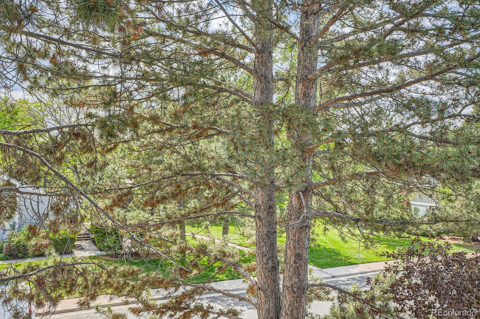 MLS Image #10 for 180 s nome street,aurora, Colorado