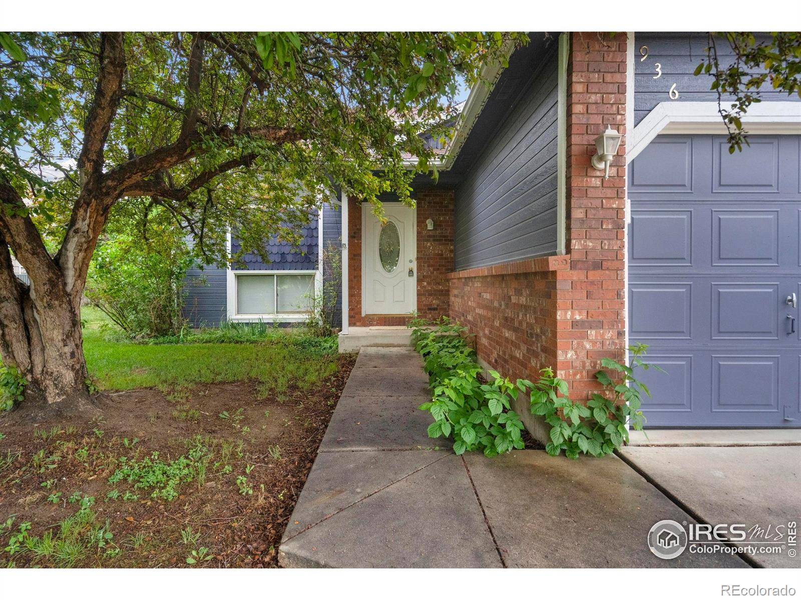 MLS Image #3 for 936  bramblebush street,fort collins, Colorado