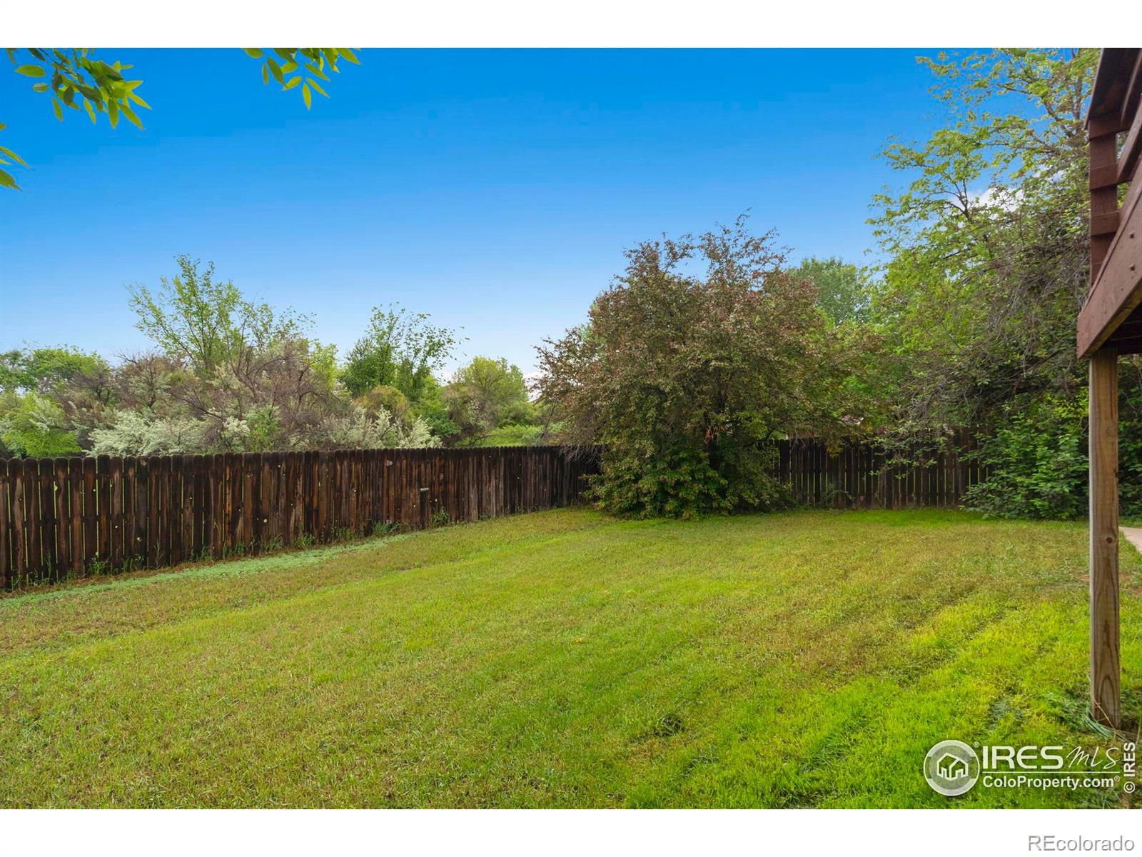 MLS Image #34 for 936  bramblebush street,fort collins, Colorado