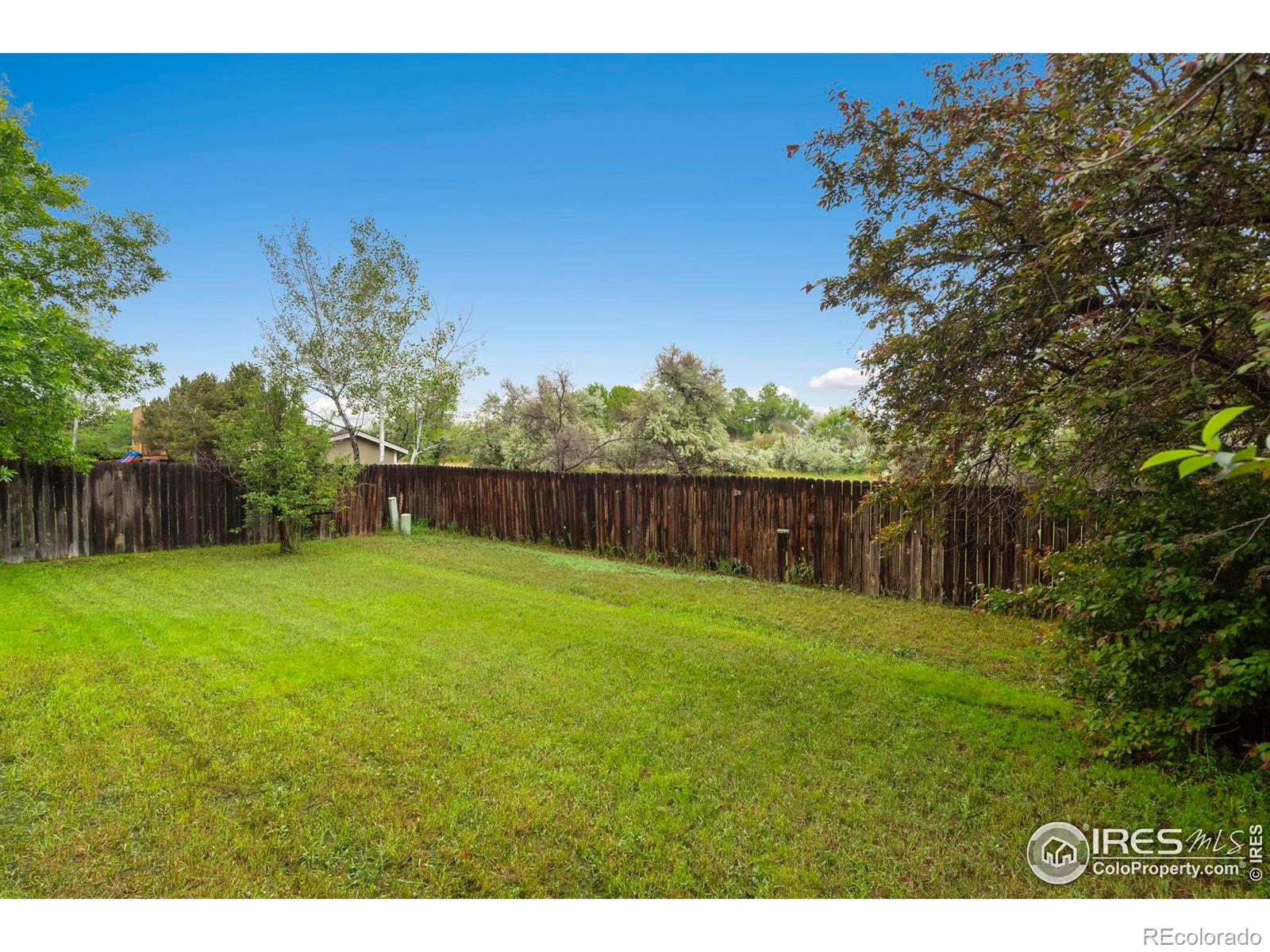 MLS Image #35 for 936  bramblebush street,fort collins, Colorado