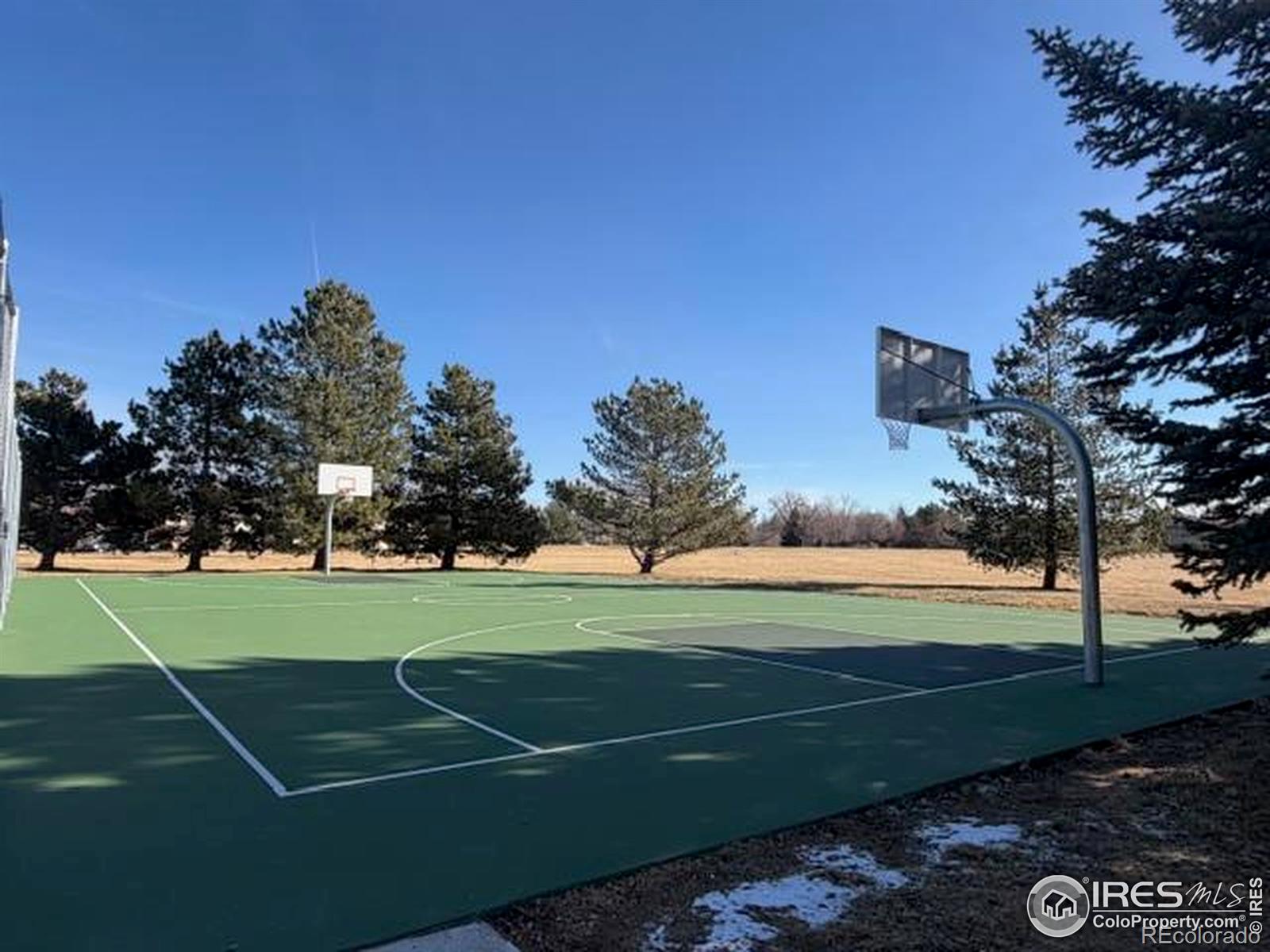 MLS Image #45 for 936  bramblebush street,fort collins, Colorado