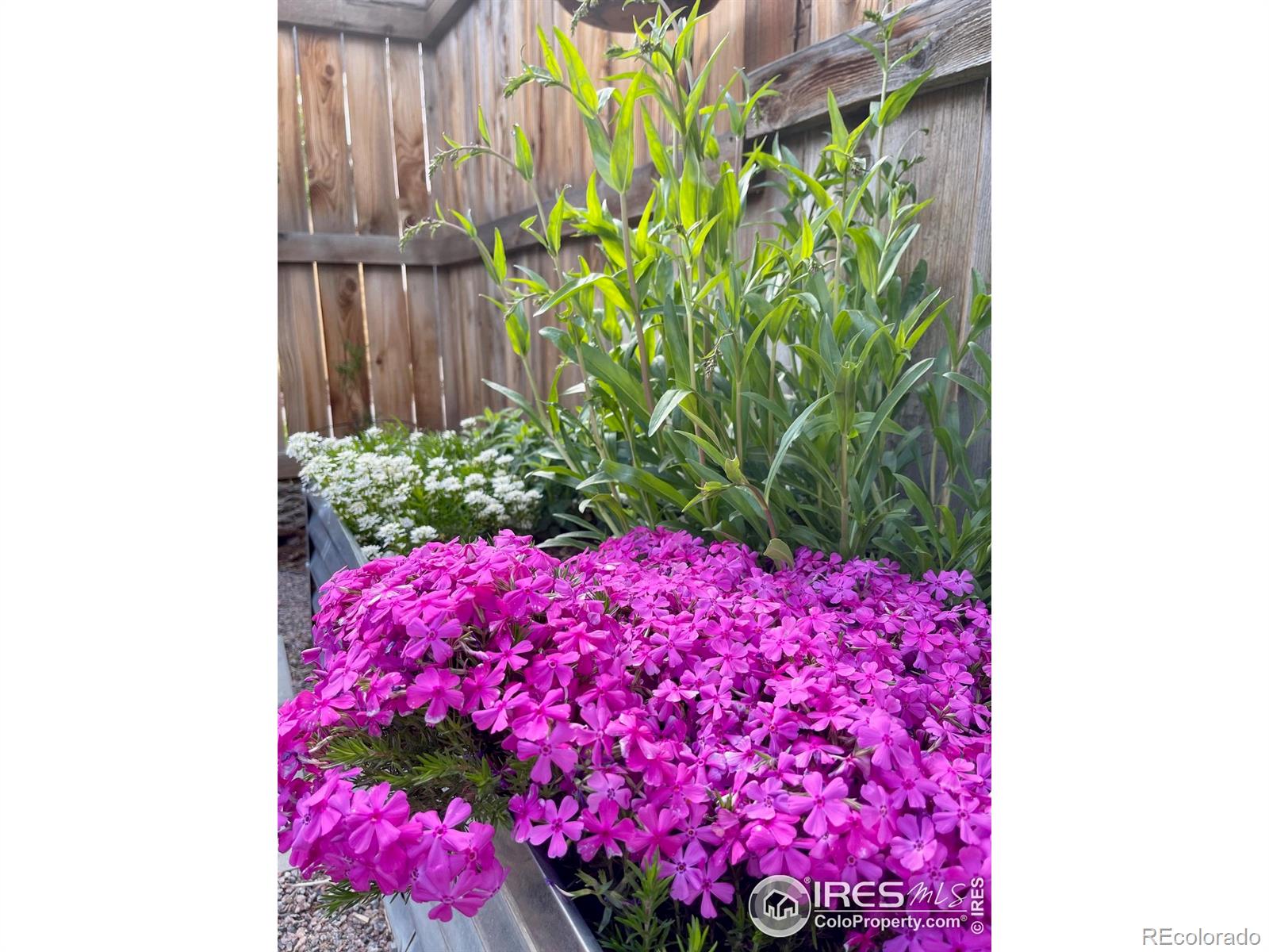 MLS Image #28 for 5863  boston street,denver, Colorado