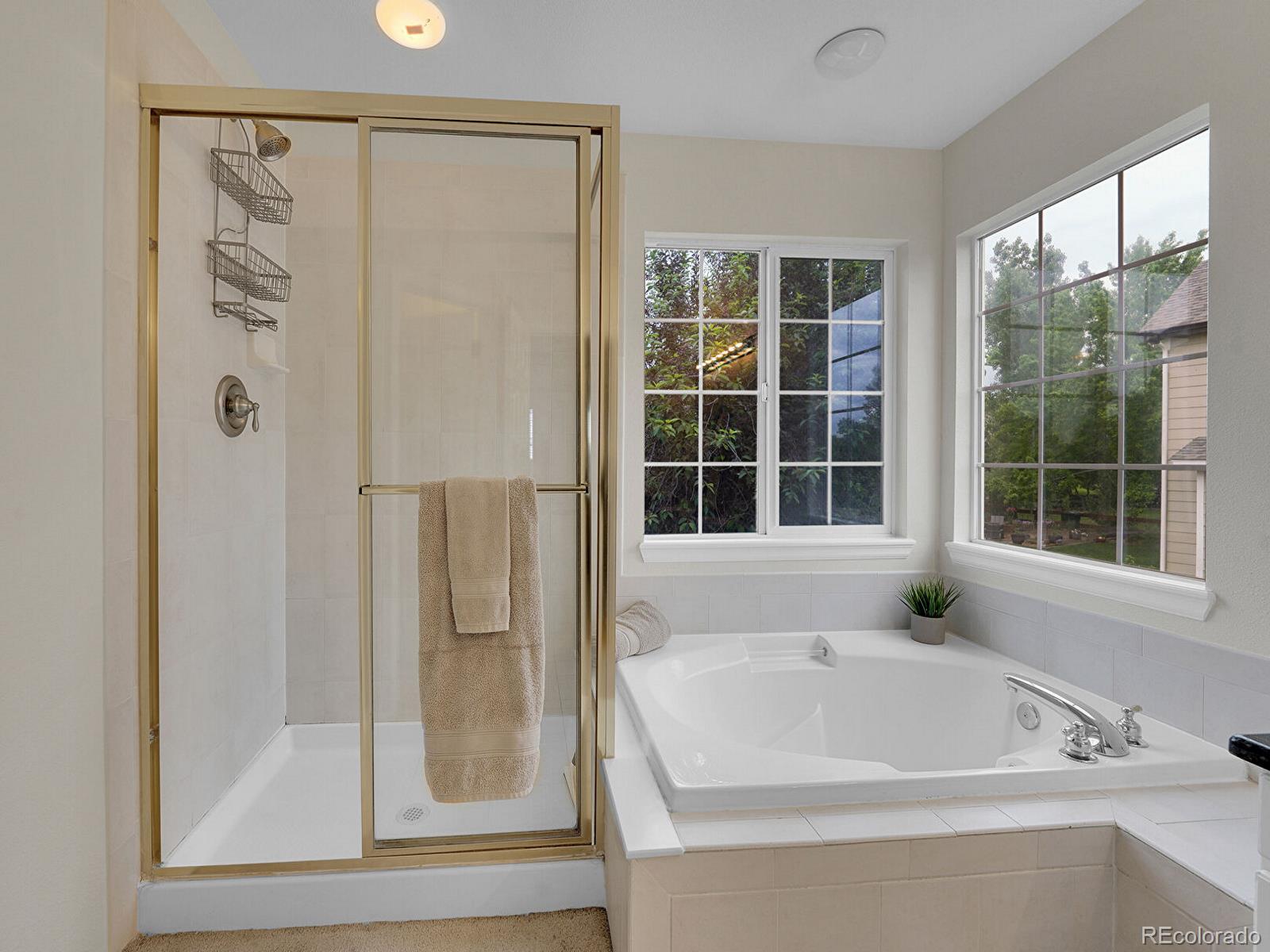 MLS Image #13 for 8646  fawnwood drive,castle pines, Colorado