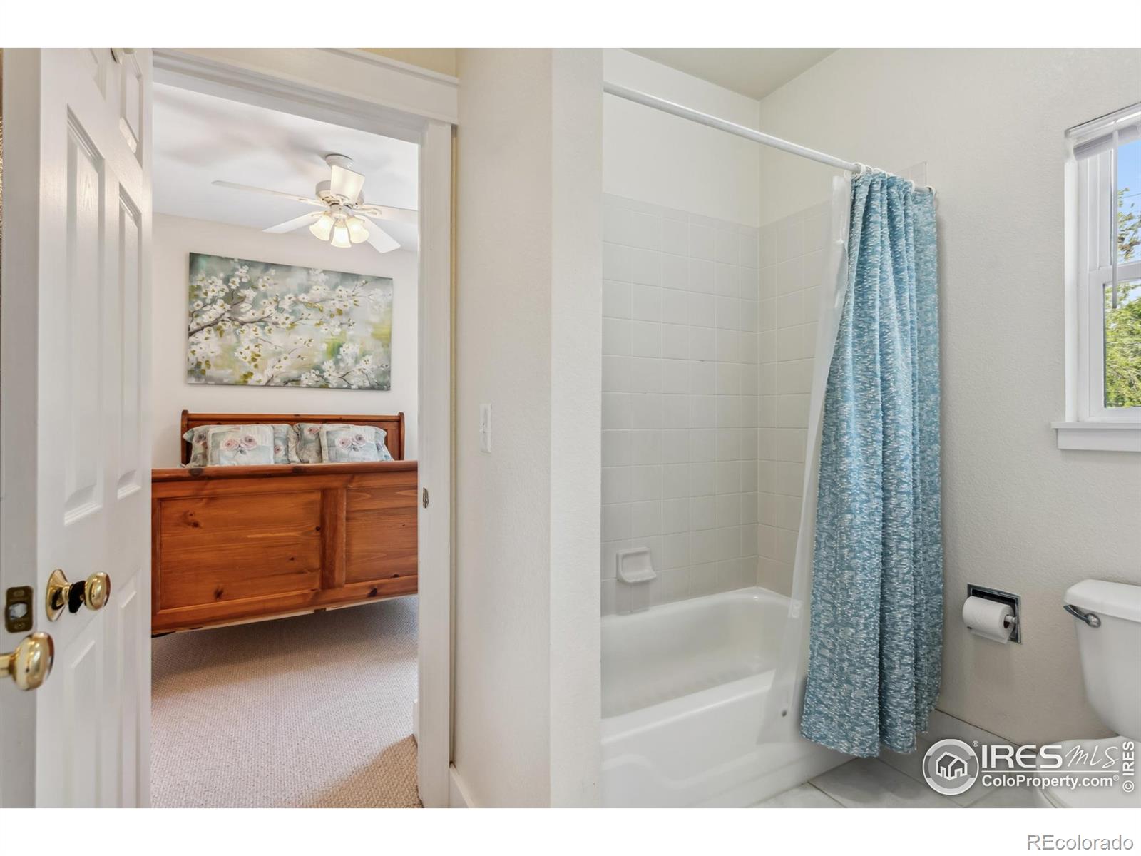 MLS Image #13 for 820  kimbark street,longmont, Colorado