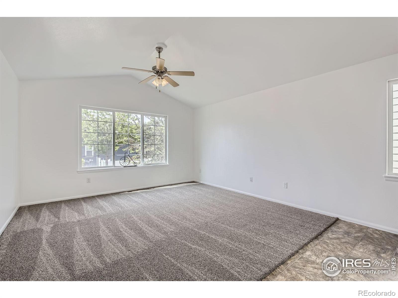 MLS Image #11 for 2220  woodbury lane,fort collins, Colorado