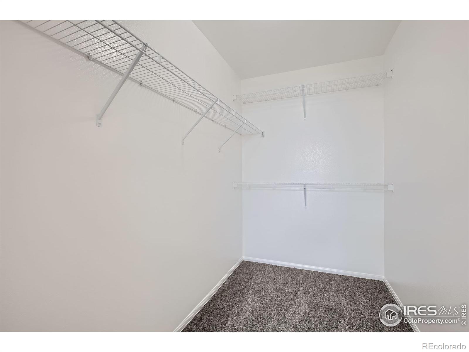 MLS Image #14 for 2220  woodbury lane,fort collins, Colorado