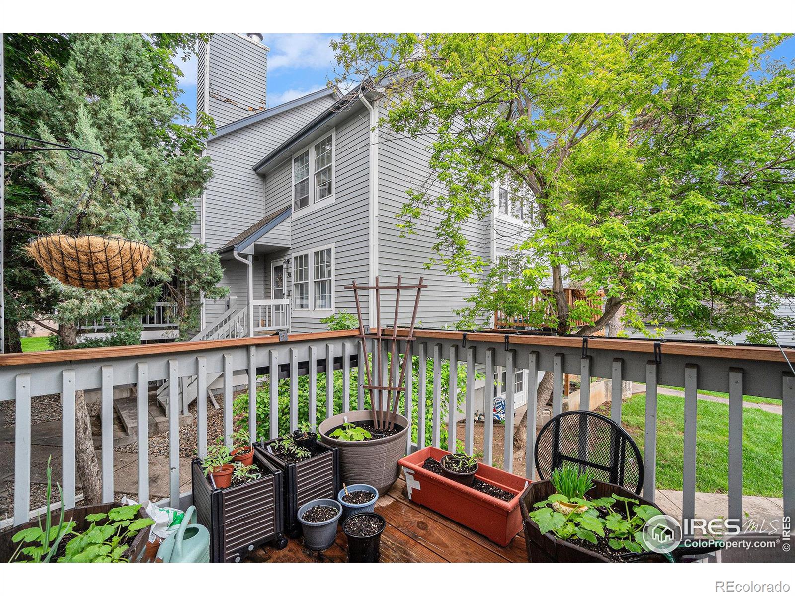 MLS Image #18 for 1601 w swallow road,fort collins, Colorado