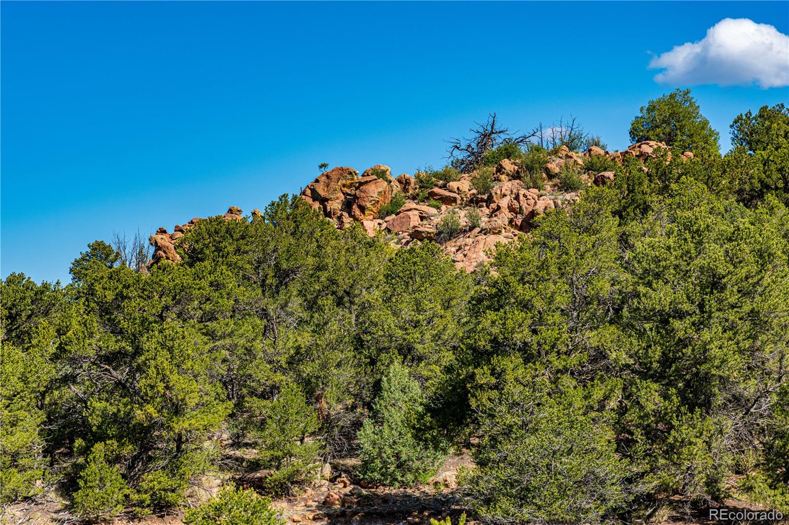 MLS Image #34 for 701/700  bella vista lane,cotopaxi, Colorado