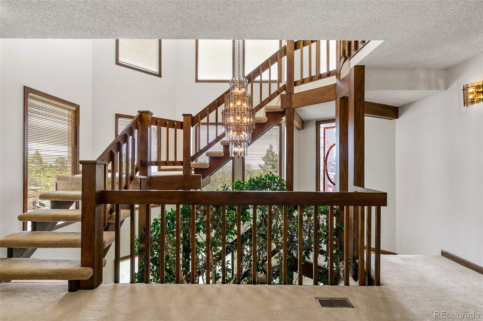 MLS Image #5 for 4  pine road,colorado springs, Colorado