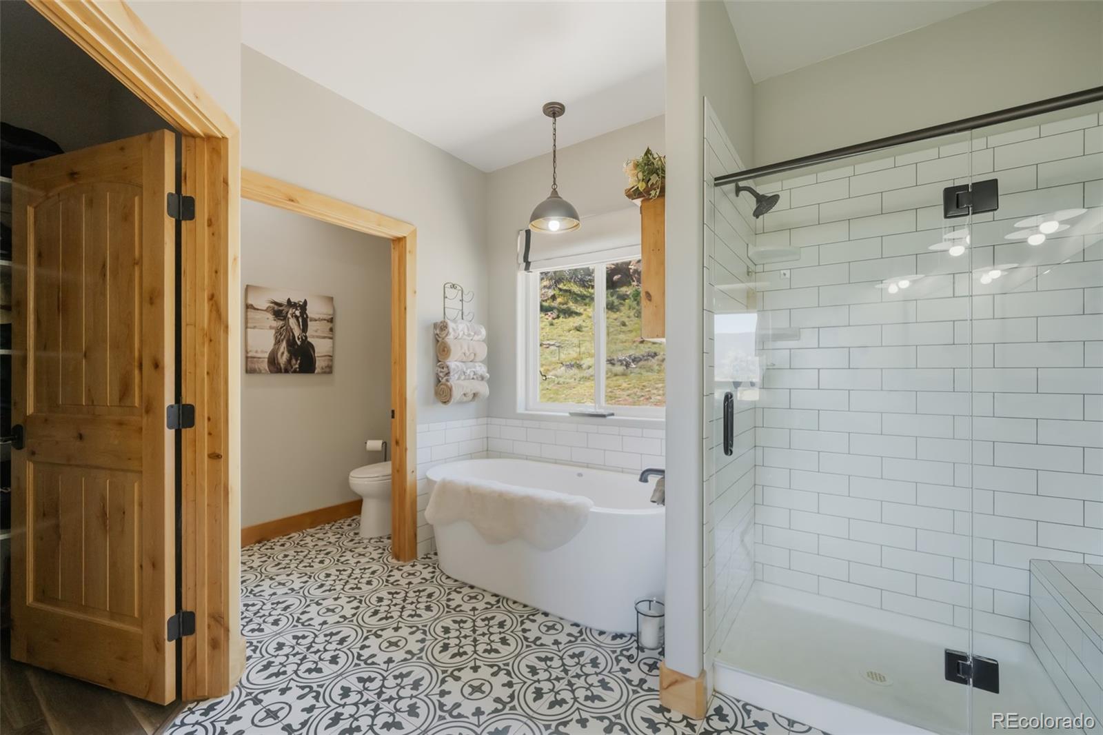 MLS Image #23 for 325  spring valley drive,florissant, Colorado
