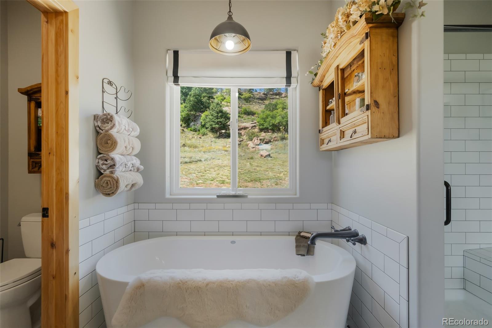 MLS Image #24 for 325  spring valley drive,florissant, Colorado
