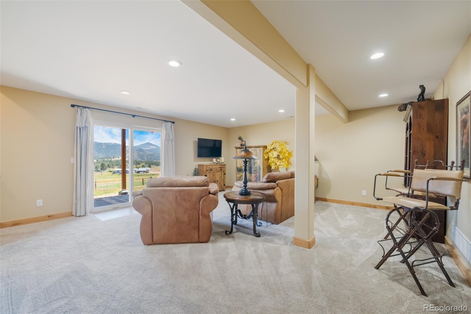 MLS Image #29 for 325  spring valley drive,florissant, Colorado
