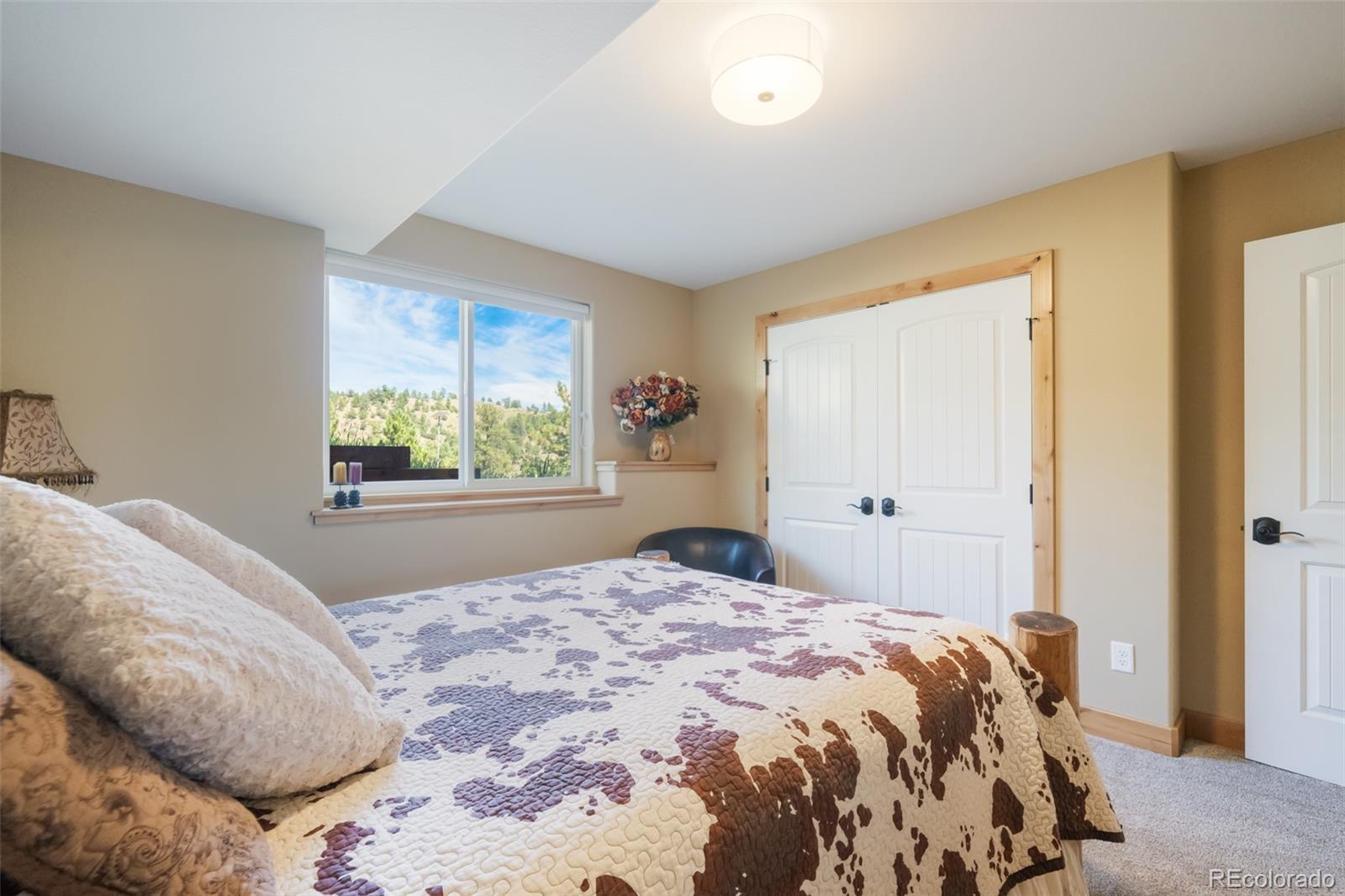 MLS Image #31 for 325  spring valley drive,florissant, Colorado