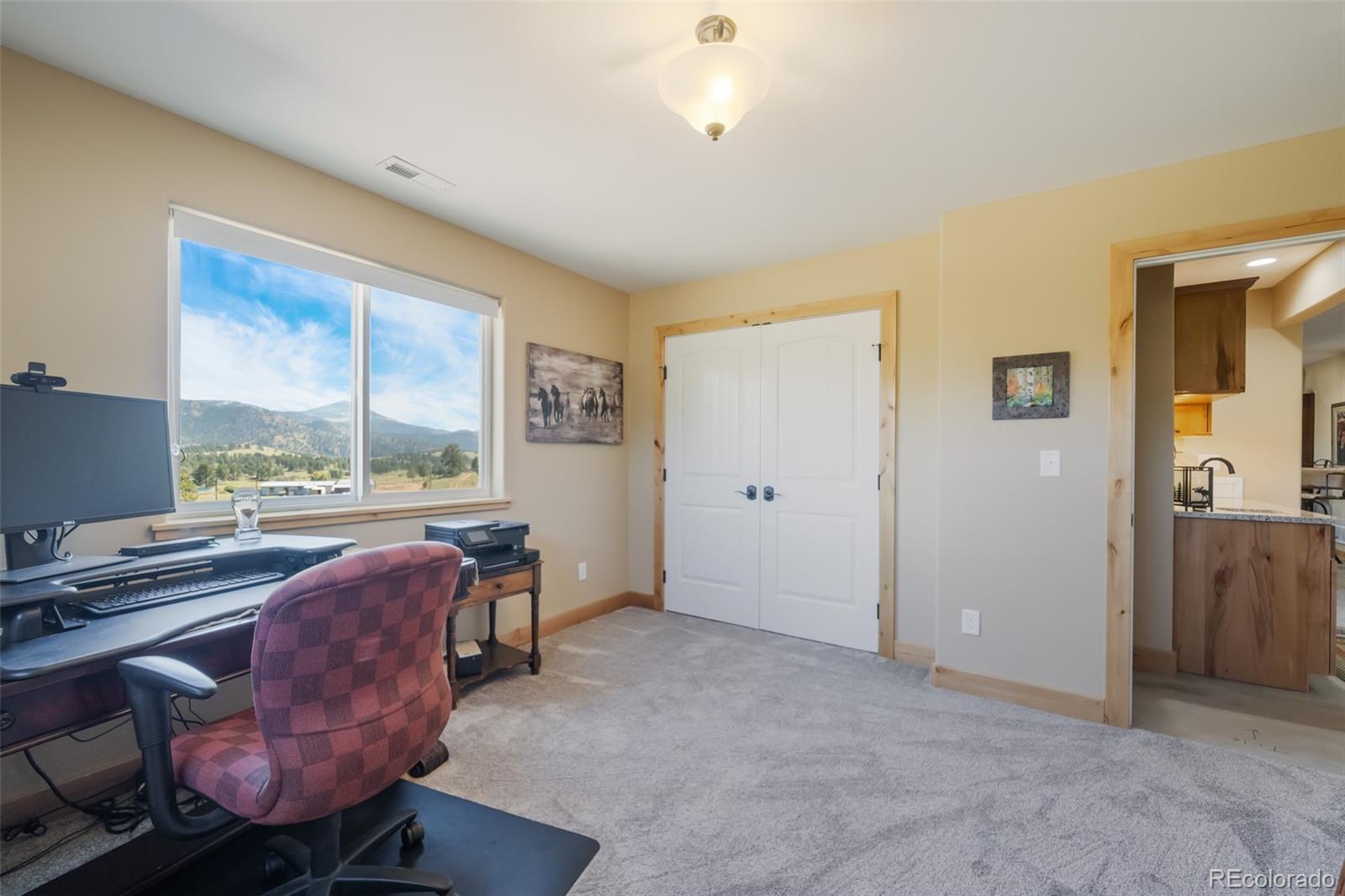 MLS Image #36 for 325  spring valley drive,florissant, Colorado