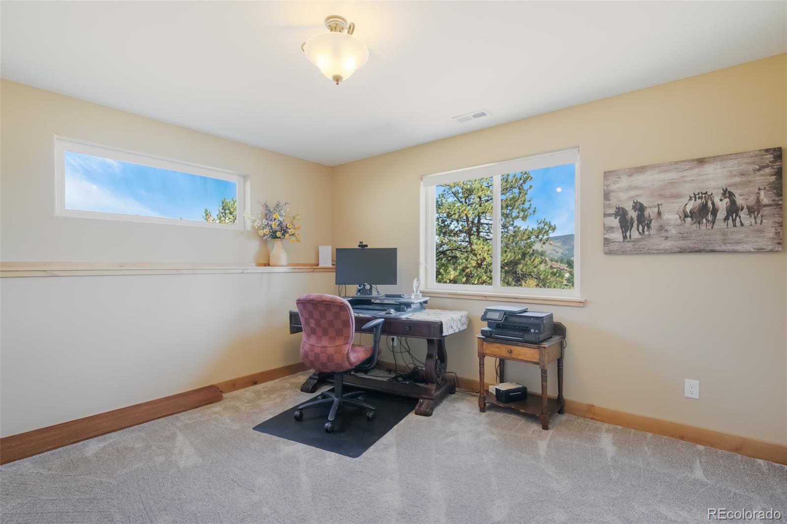 MLS Image #37 for 325  spring valley drive,florissant, Colorado