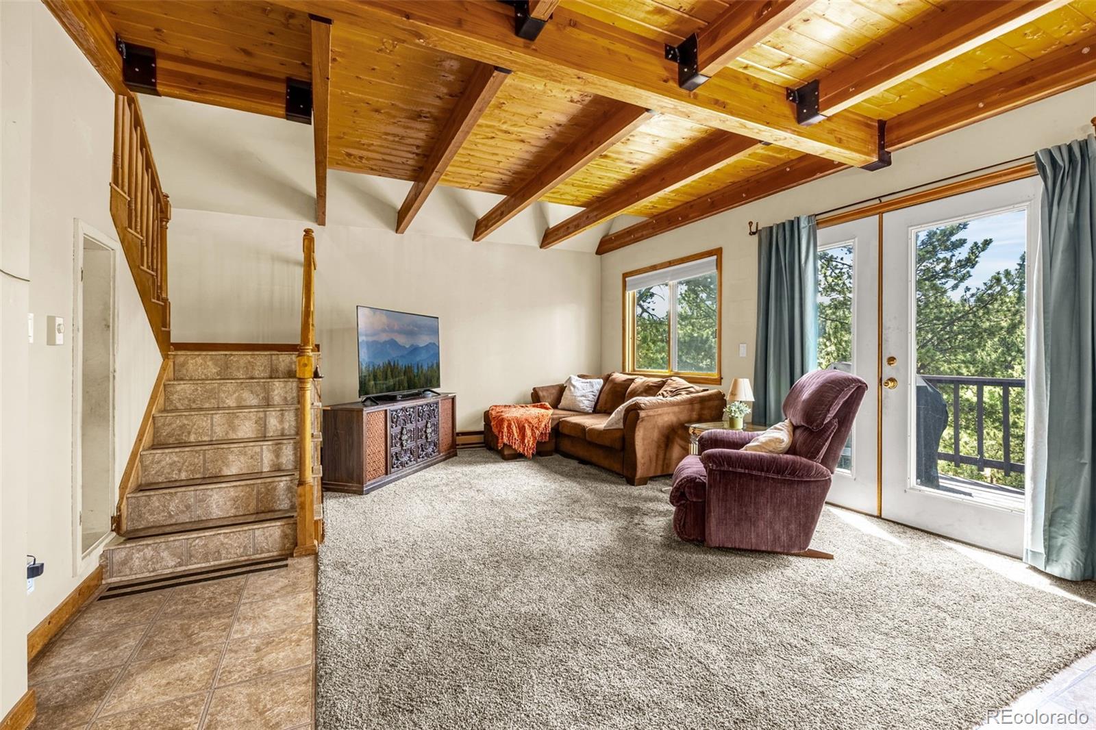 MLS Image #1 for 53  lake circle,divide, Colorado