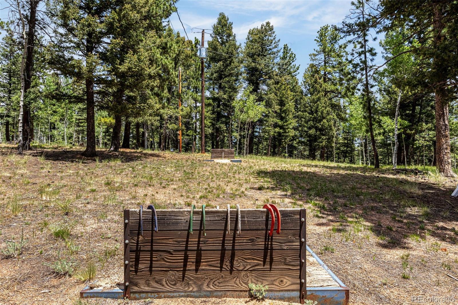 MLS Image #18 for 53  lake circle,divide, Colorado