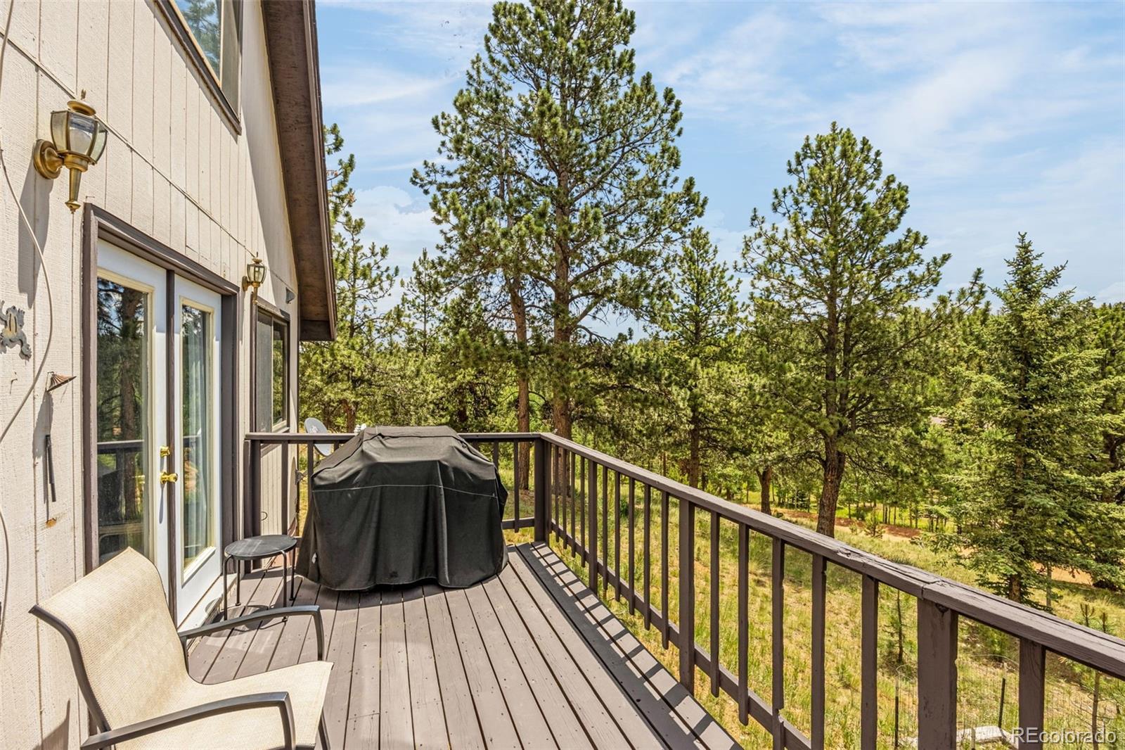 MLS Image #19 for 53  lake circle,divide, Colorado