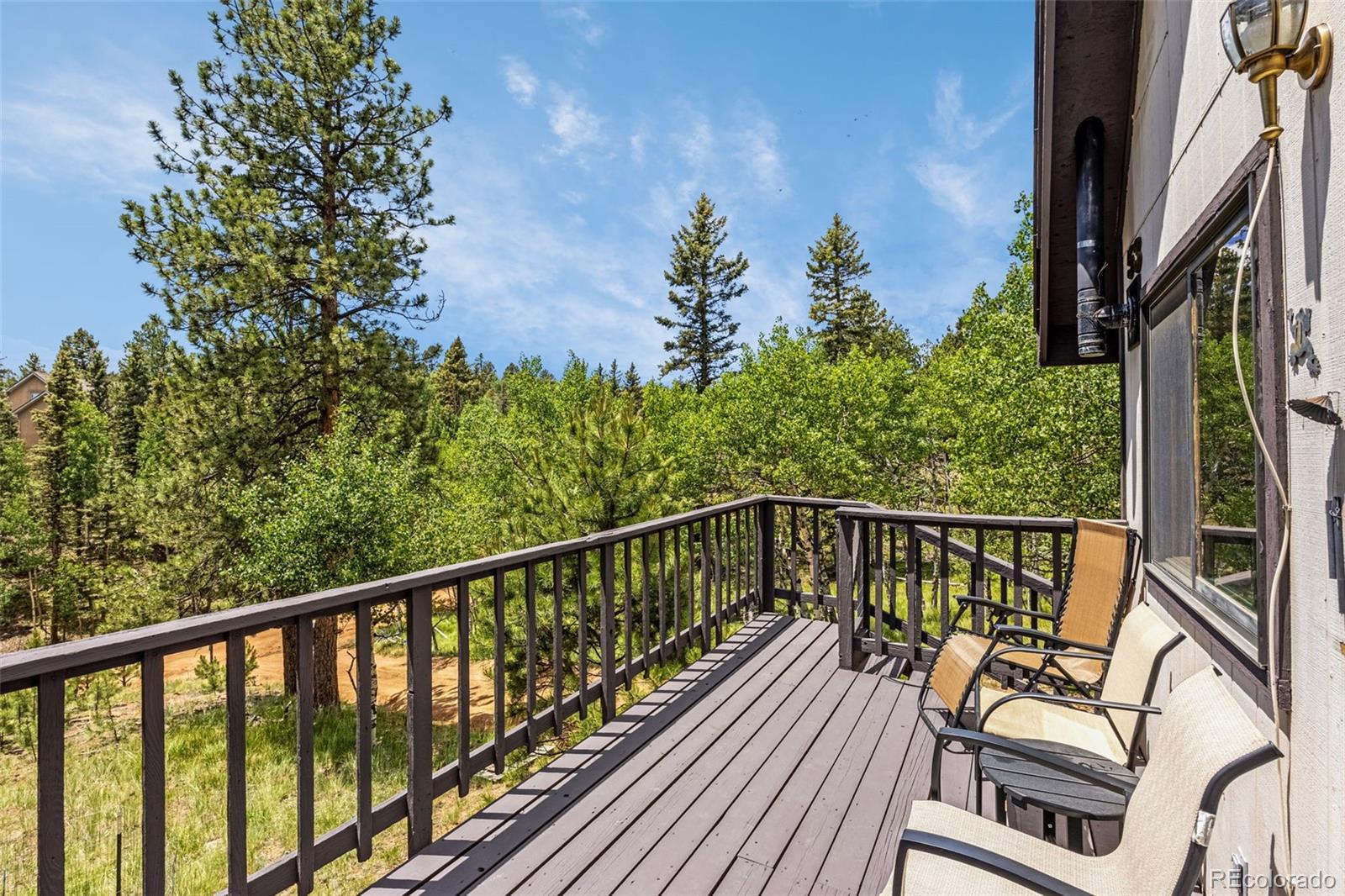 MLS Image #20 for 53  lake circle,divide, Colorado