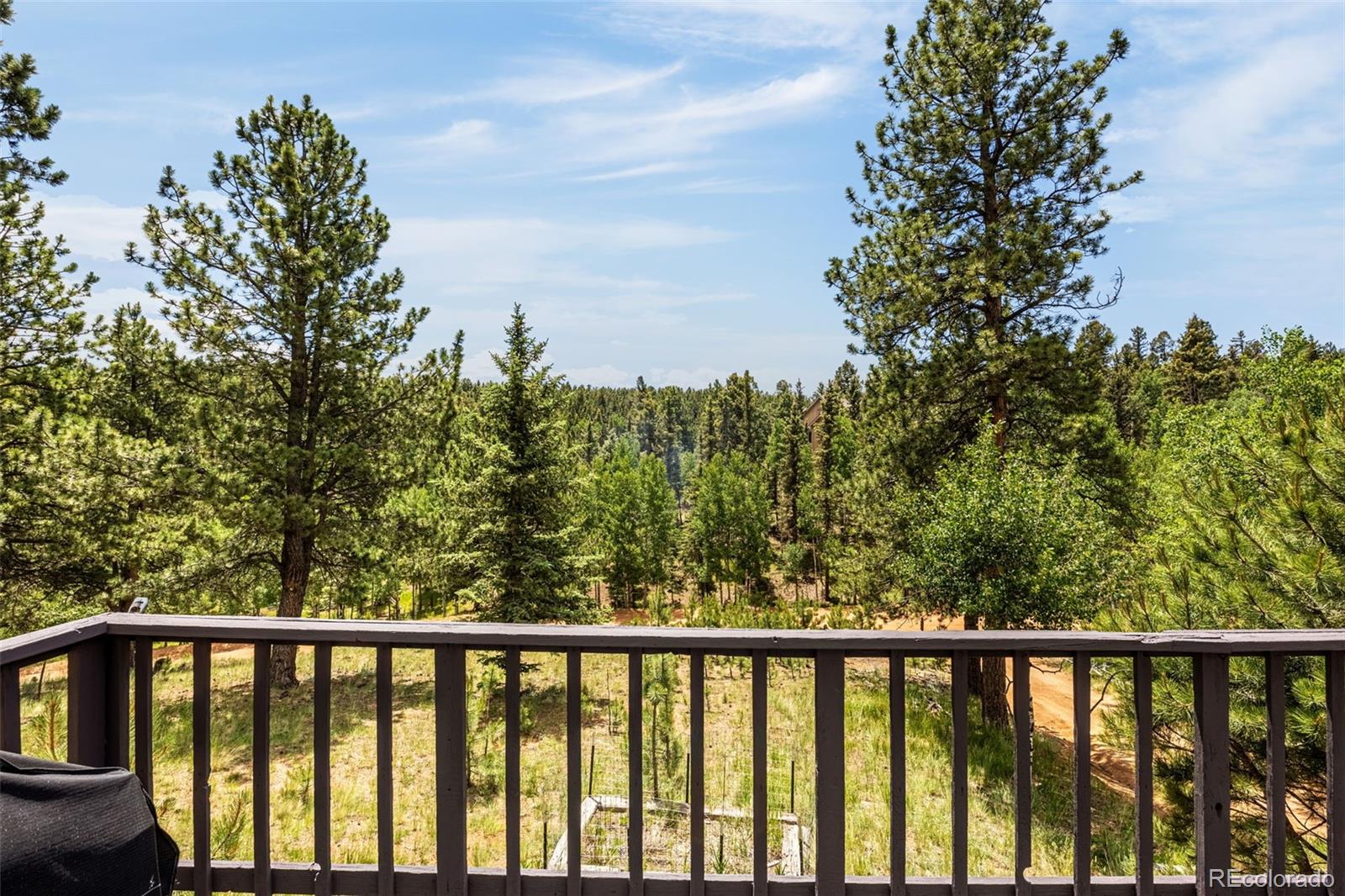 MLS Image #21 for 53  lake circle,divide, Colorado