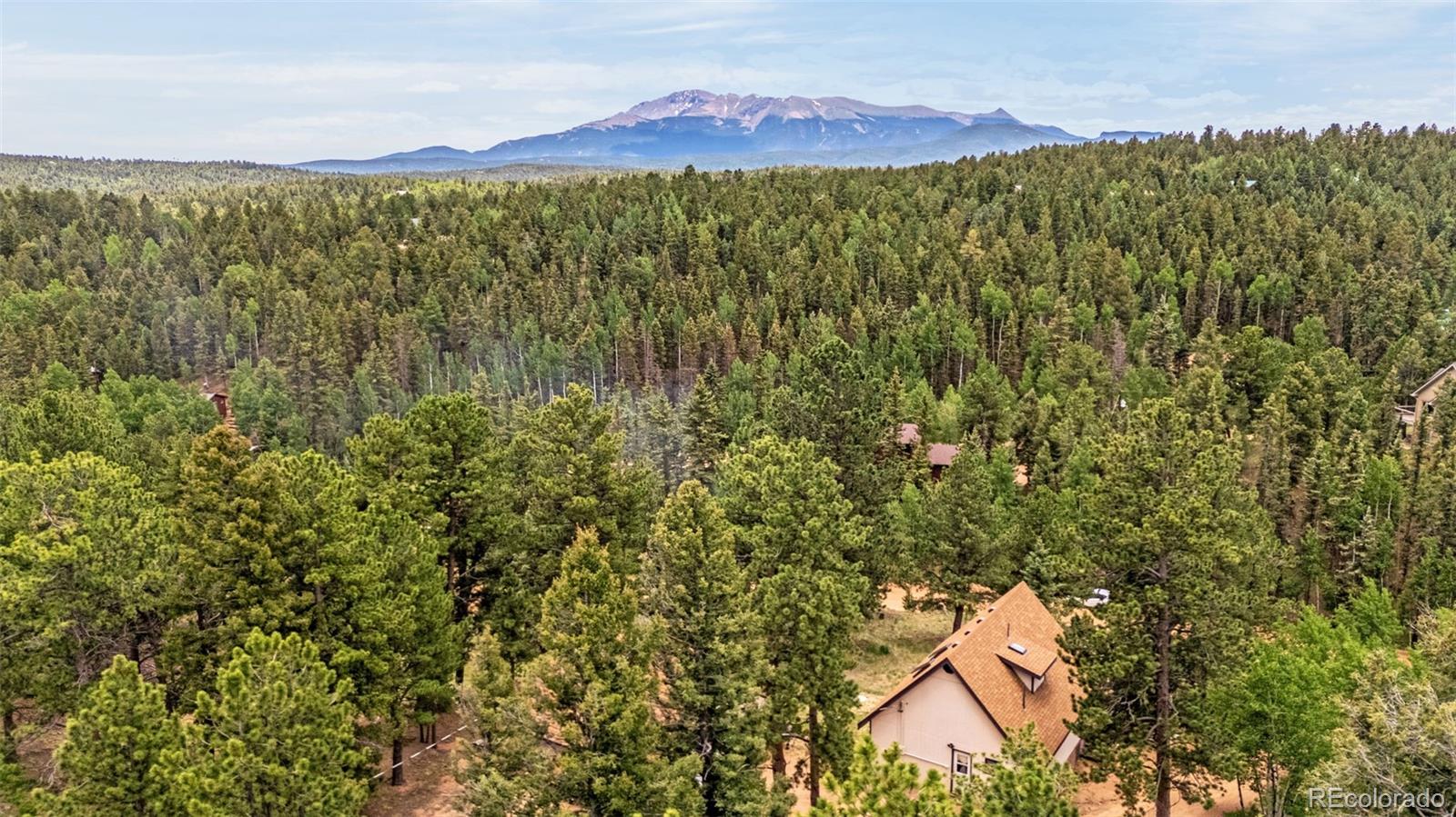 MLS Image #23 for 53  lake circle,divide, Colorado