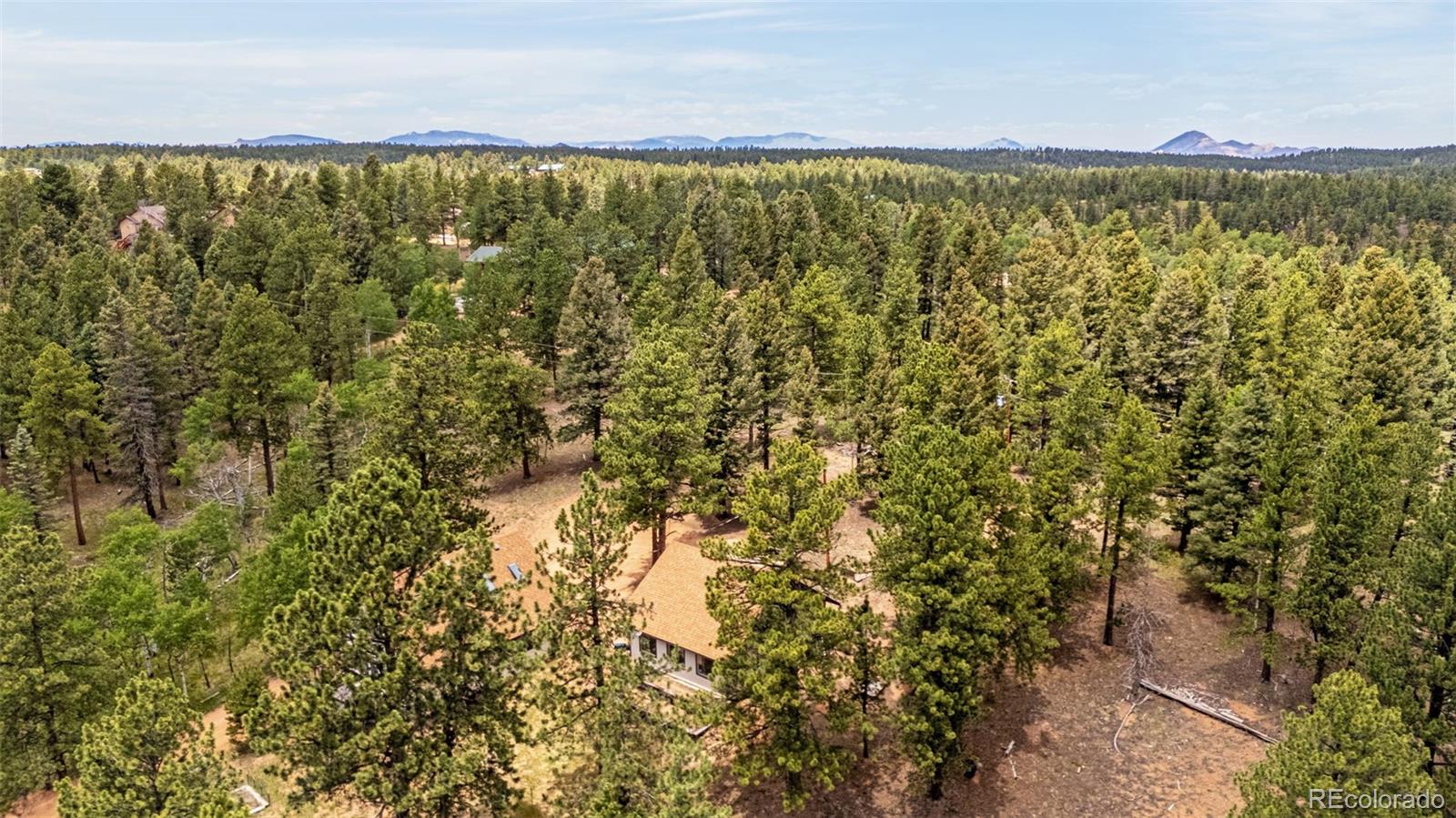 MLS Image #24 for 53  lake circle,divide, Colorado