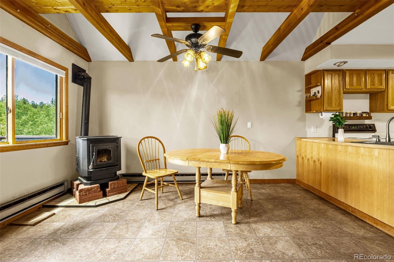 MLS Image #4 for 53  lake circle,divide, Colorado