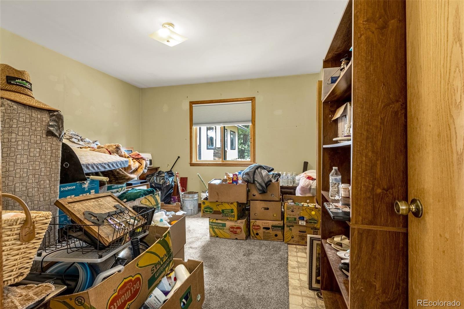MLS Image #8 for 53  lake circle,divide, Colorado