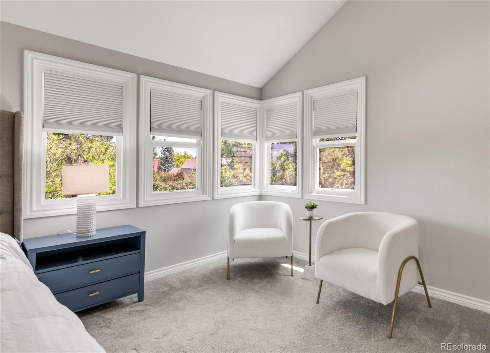 MLS Image #30 for 5557 e links circle,centennial, Colorado